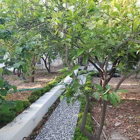 Mel'S Garden House In The Heart Of The City Bodrum Exterior photo